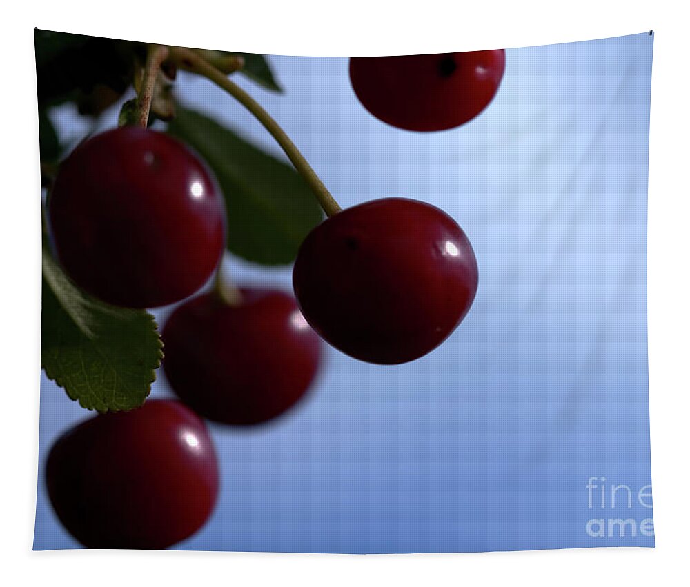 Nature Tapestry featuring the photograph Summer Wild Cherry by Stephen Melia