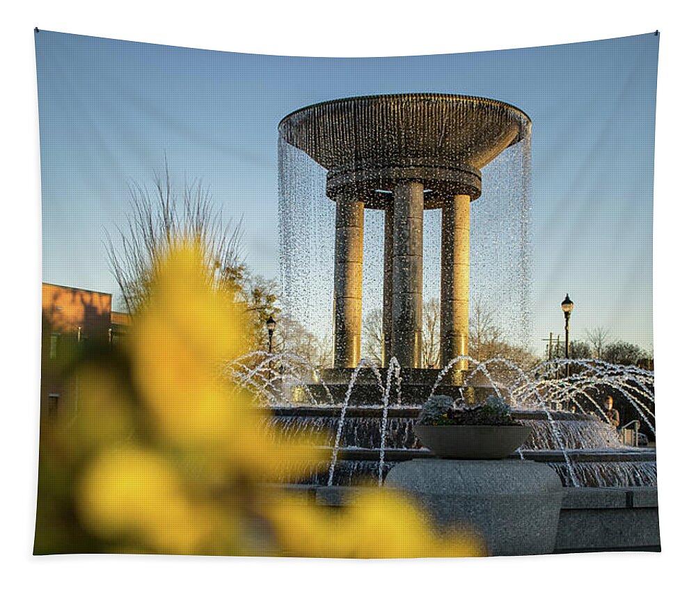 Cary Tapestry featuring the photograph Summertime Fountain by Rick Nelson