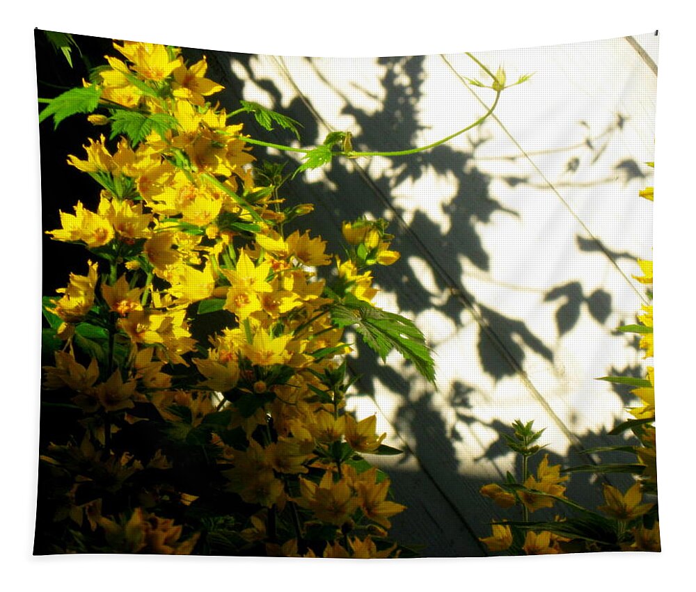 Summer Tapestry featuring the photograph Summerwind gust by Pauli Hyvonen