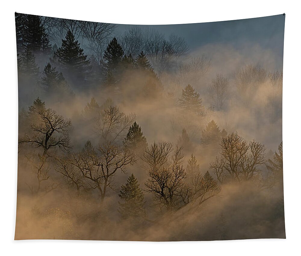 2020-11-27 Tapestry featuring the photograph Sun, fog and trees. by Ulrich Burkhalter