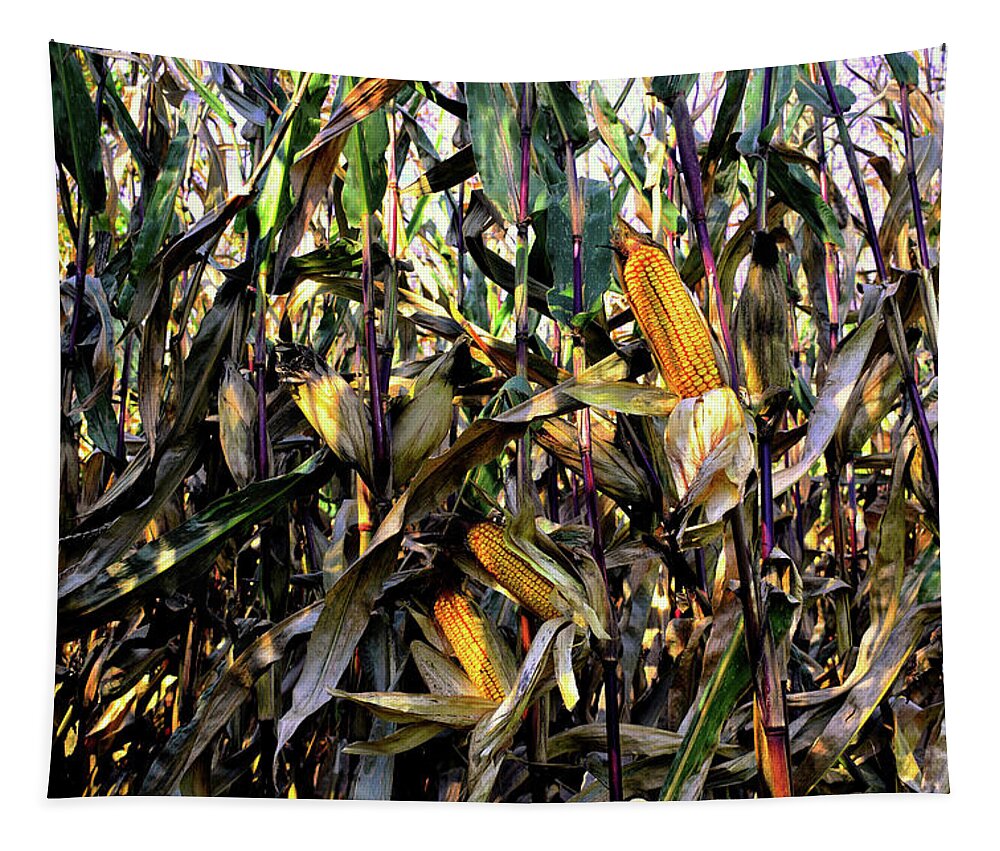 Corn Tapestry featuring the photograph Sun on a Cornfield by Wayne King