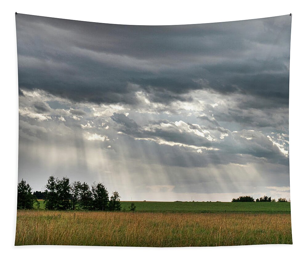 Sun Tapestry featuring the photograph Sun rays over a field by Karen Rispin