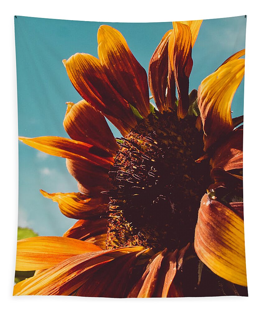 Sunflower Tapestry featuring the photograph Sun Seeker Sunflower by Bonny Puckett