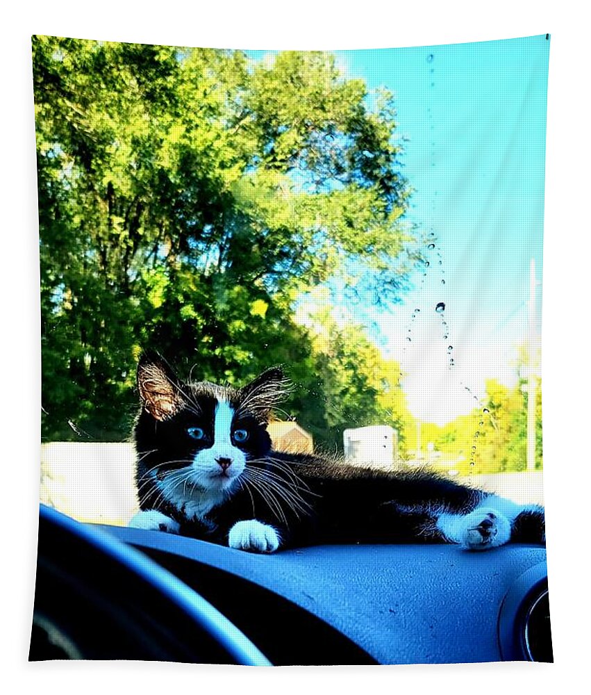 Sun Tapestry featuring the photograph Sunbathing on the dash by Shalane Poole
