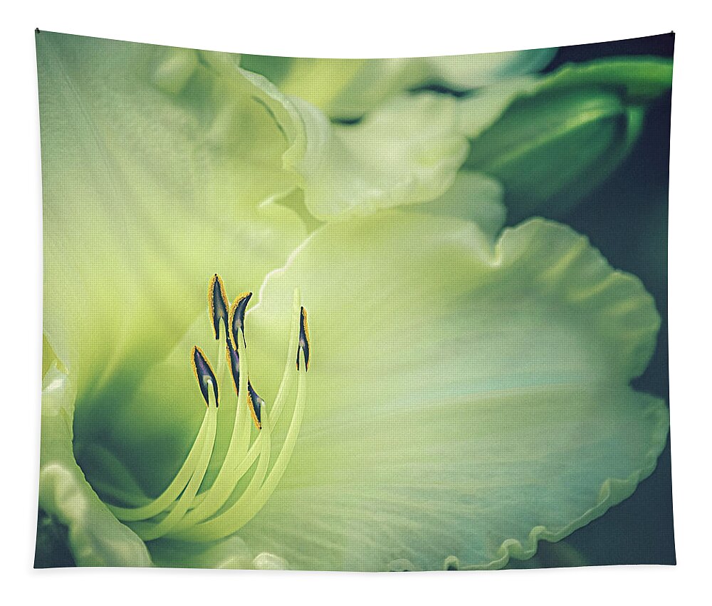 Day Lily Tapestry featuring the photograph Sunday Gloves Daylily by Julie Palencia