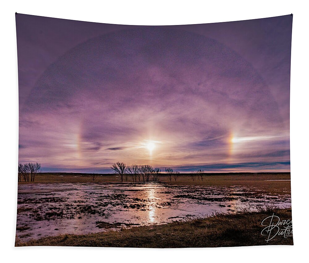 Sundog Tapestry featuring the photograph Sundogs by Darcy Dietrich