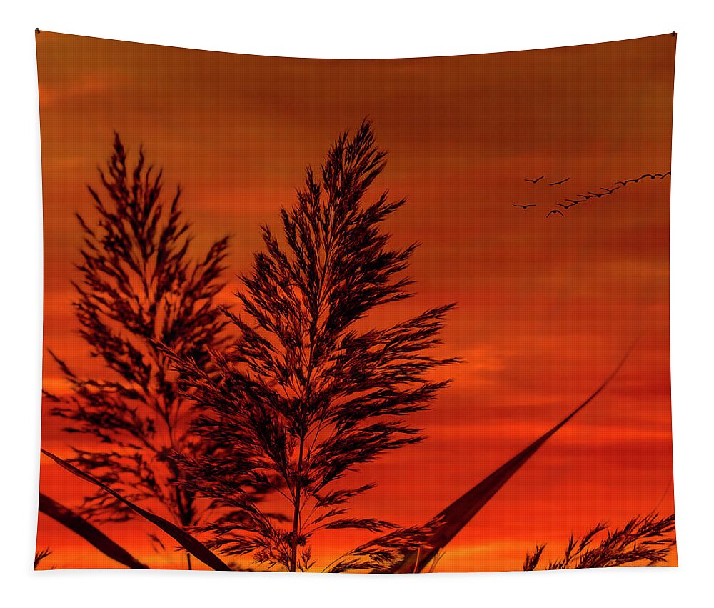 Sunset Tapestry featuring the photograph Sundown by Cathy Kovarik