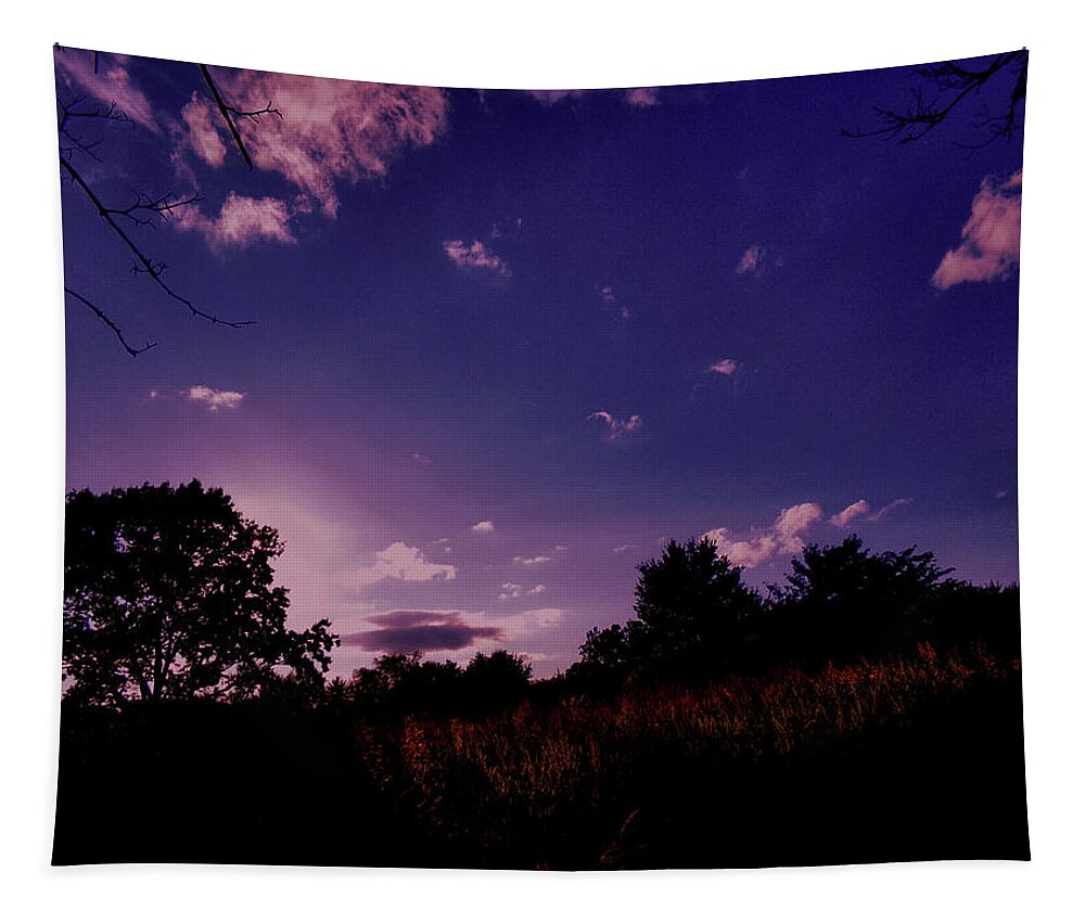 Sundown Tapestry featuring the photograph Sundown in the Field by Christopher Reed