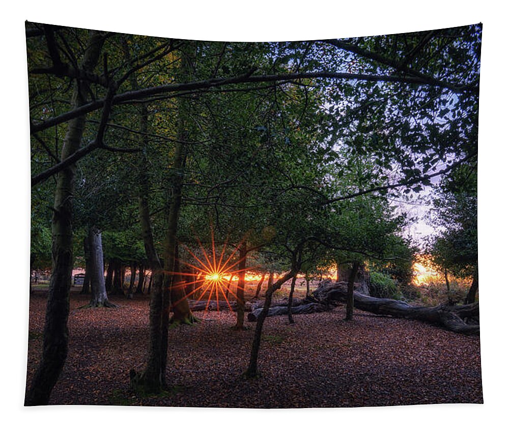 Framing Places Photography Tapestry featuring the photograph Sunflare Through The Trees by Framing Places