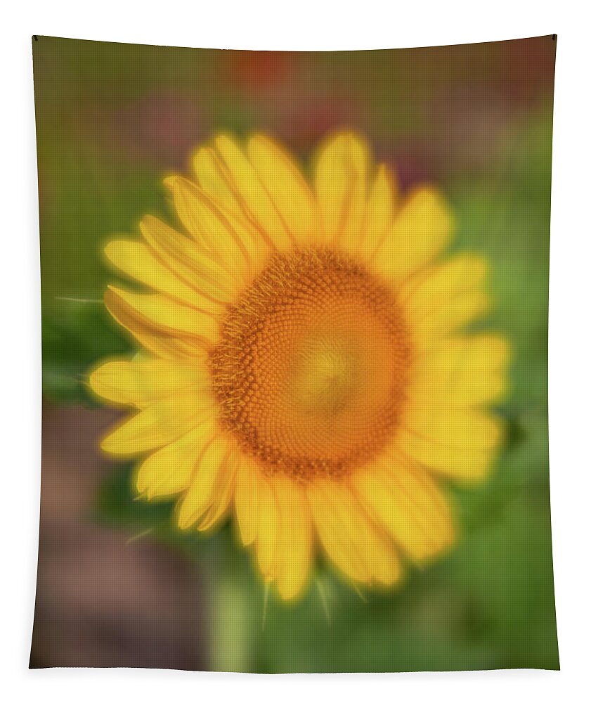 2020 Tapestry featuring the photograph Sunflower-1 by Charles Hite