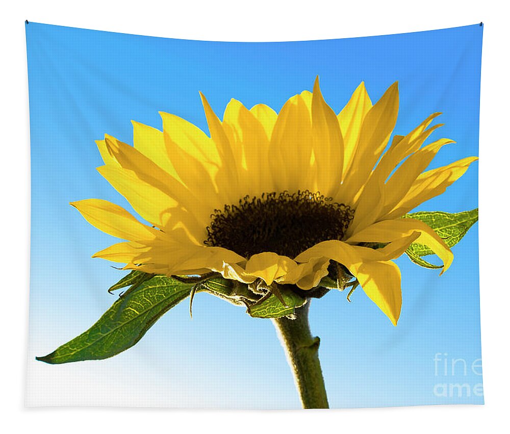 Sunflower Tapestry featuring the photograph Sunflower ART for Ukraine by Renee Spade Photography