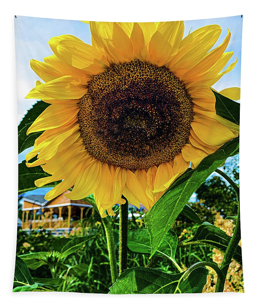 Flower Tapestry featuring the photograph Sunflower by Jim Feldman