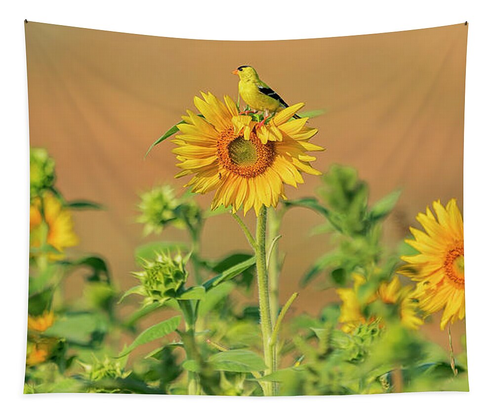 Field Of Flowers Tapestry featuring the photograph Sunflower Sunrise by Peg Runyan