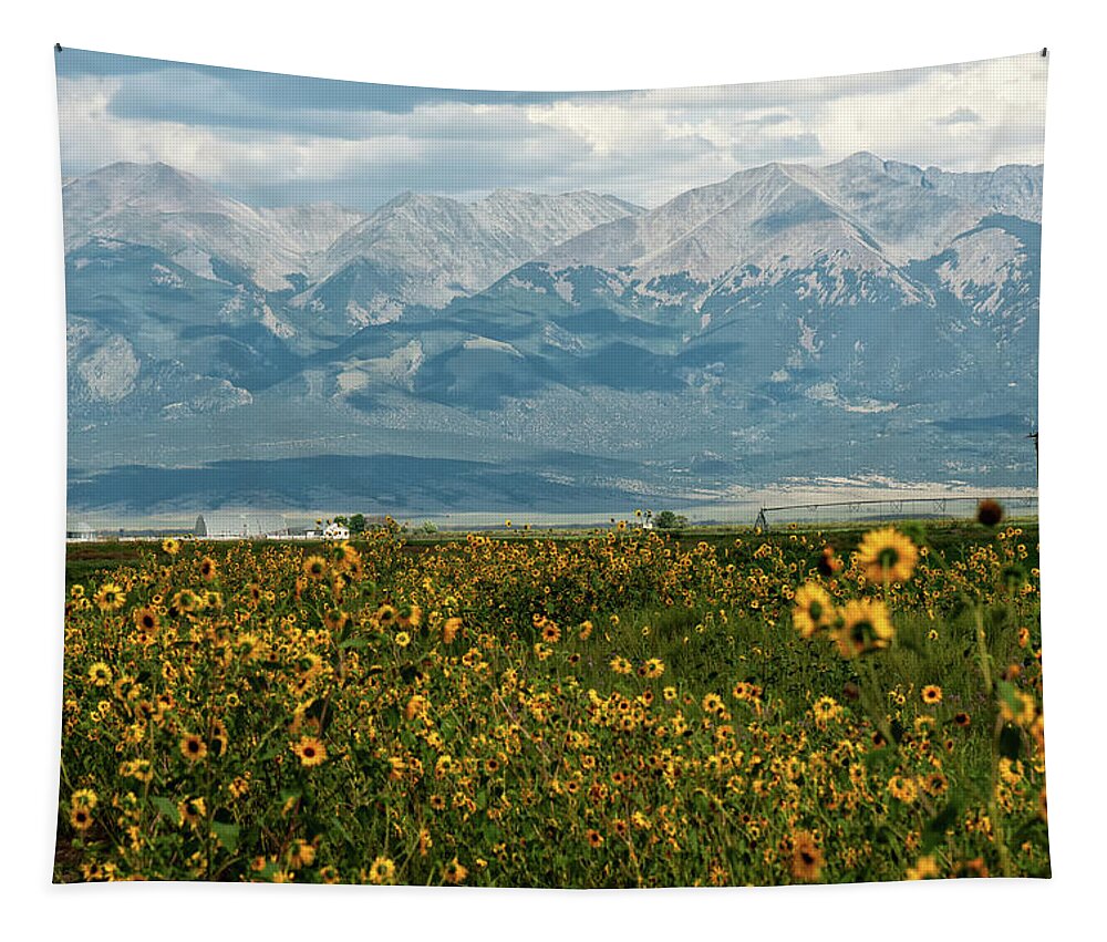 Colorado Tapestry featuring the photograph Sunflowers by Doug Wittrock
