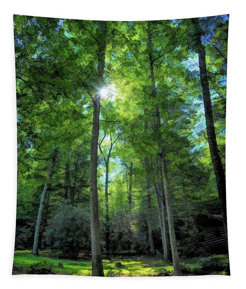 Sunlight Tapestry featuring the photograph Sunlight in the Forest by Kerri Farley