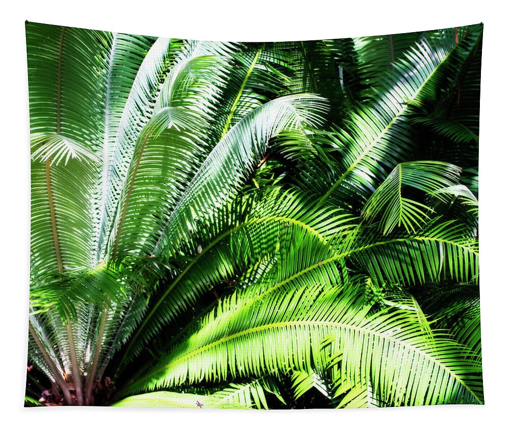 Color Tapestry featuring the photograph Sunlit Palms -4 by Alan Hausenflock
