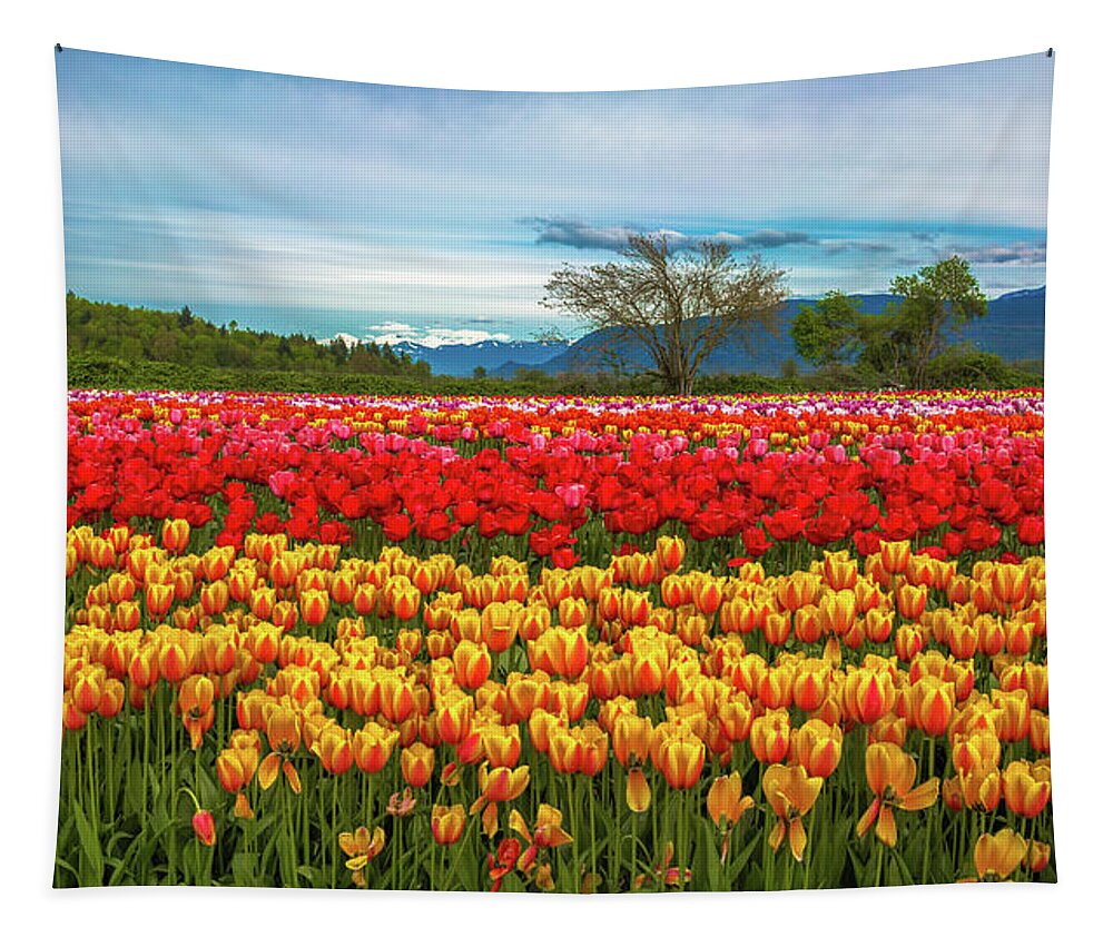 Alex Lyubar Tapestry featuring the photograph Sunny colorful tulip fields by Alex Lyubar