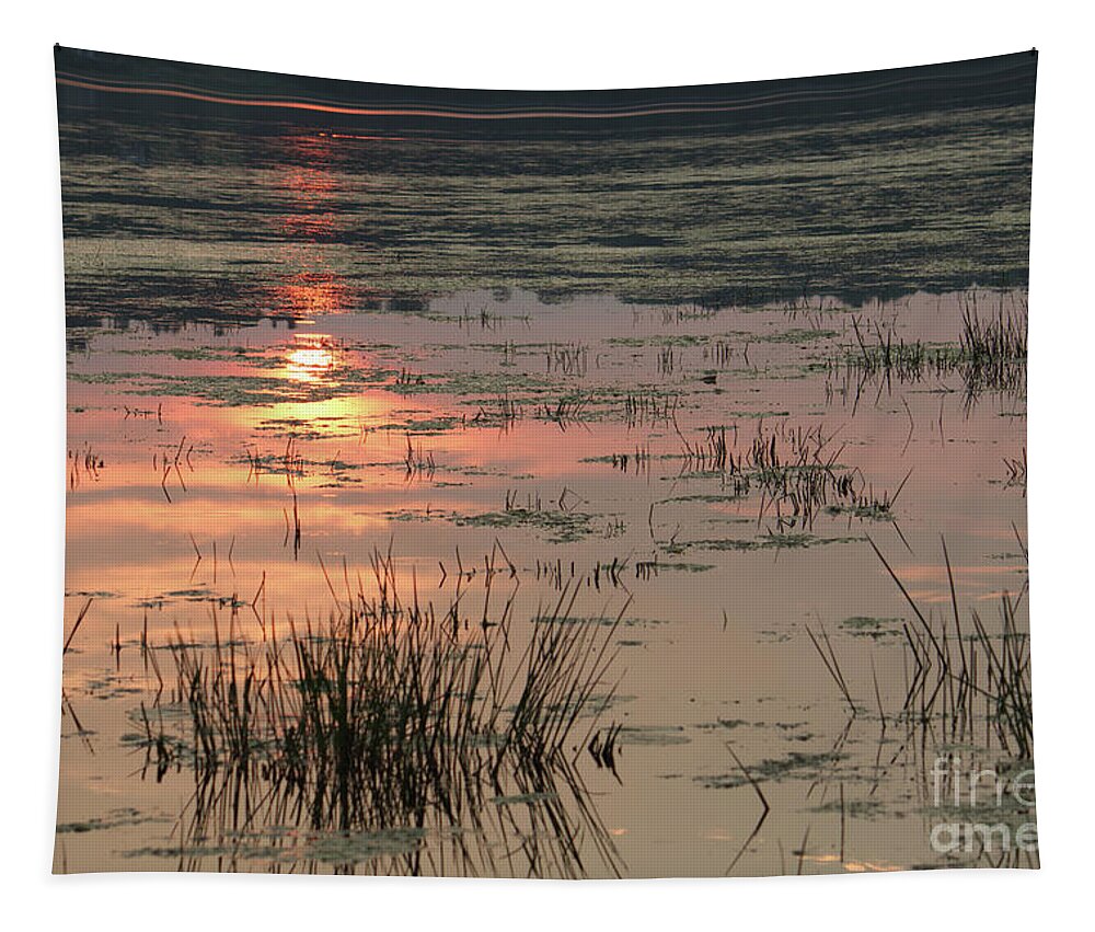 Marsh Tapestry featuring the photograph Sunny Marsh by Marc Champagne