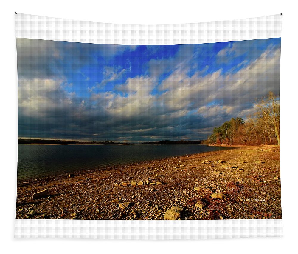 Landscape Tapestry featuring the photograph Sunny Shore by Mary Walchuck