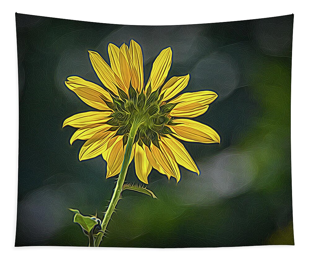 Bloom Tapestry featuring the photograph Sunny Sunflower Following the Sun With Enhancements by Debra Martz