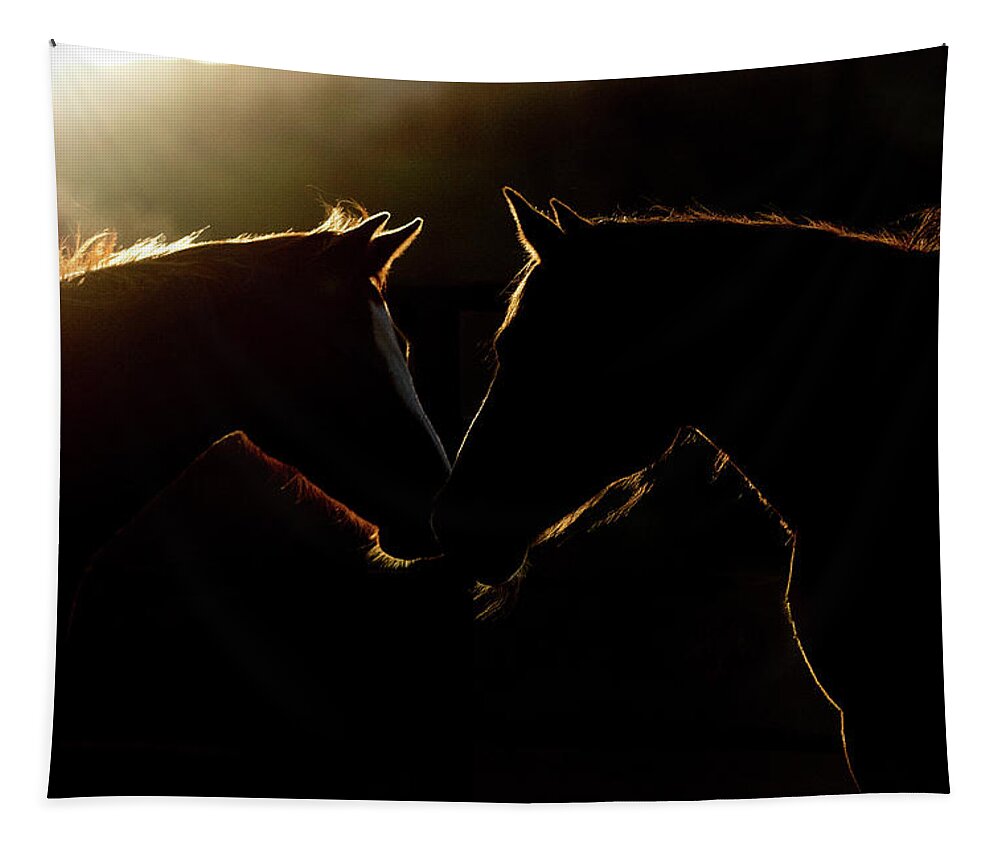 Horse Tapestry featuring the digital art Sunrise Companions by Nicole Wilde