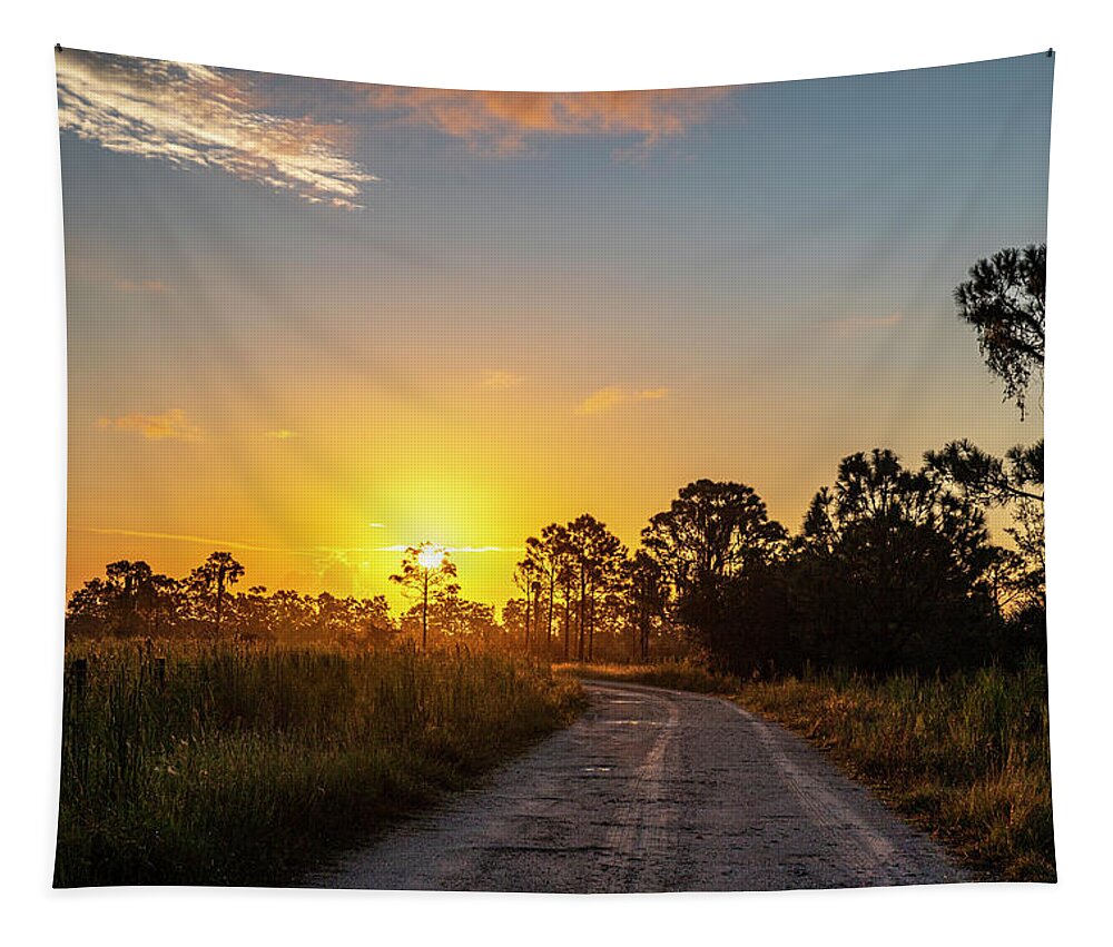 Sunrise Tapestry featuring the photograph Sunrise by Dart Humeston