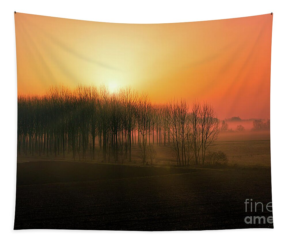 Wood Tapestry featuring the photograph Sunrise in the wood by The P