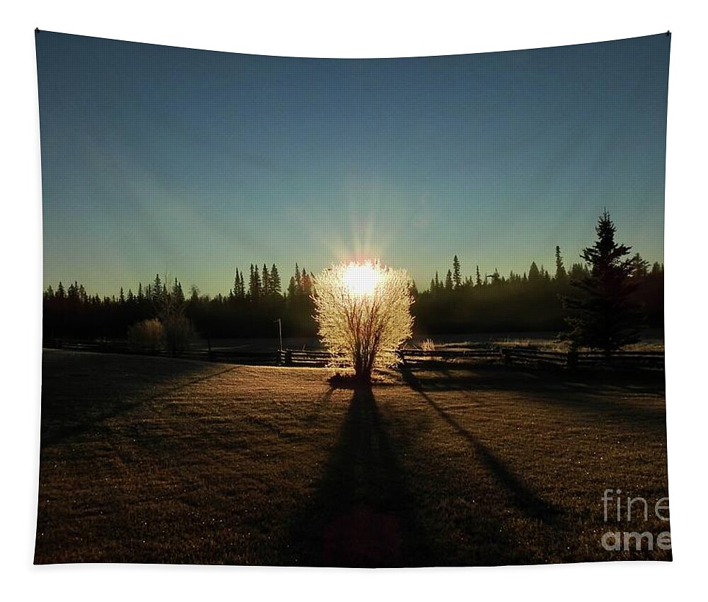 Sunrise Tapestry featuring the photograph Sunrise by Nicola Finch