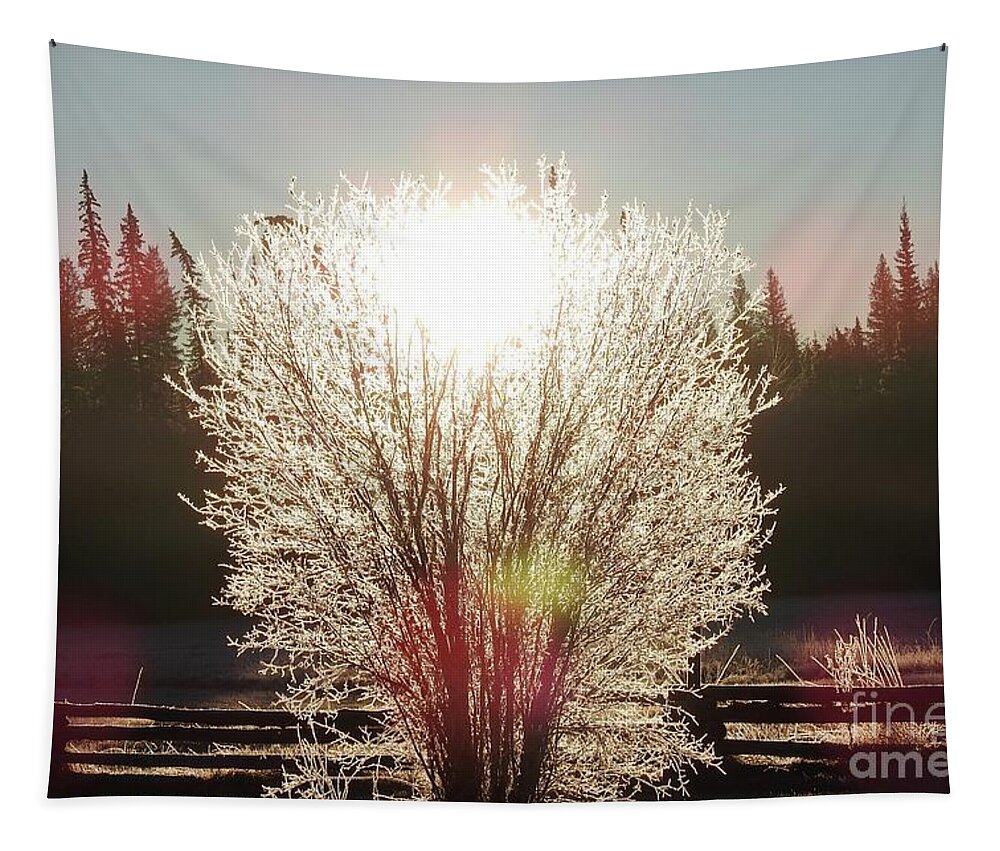 Sunrise Tapestry featuring the photograph Sunrise on the meadow. by Nicola Finch