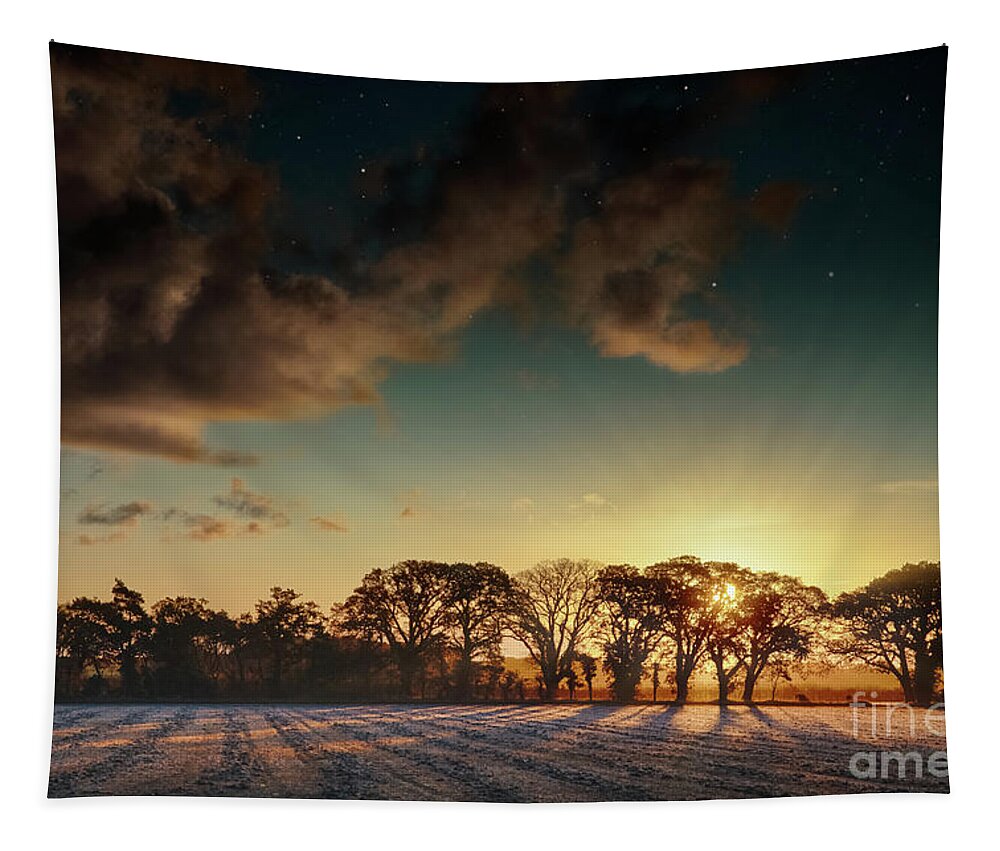 Landscape Tapestry featuring the photograph Sunrise over frosty fields in Norfolk by Simon Bratt