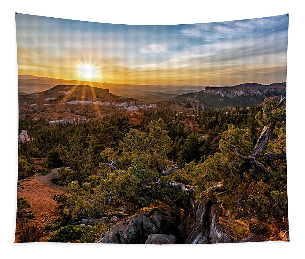2020 Utah Trip Tapestry featuring the photograph Sunrise Point by Gary Johnson