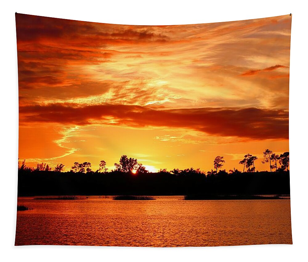 Sunset Tapestry featuring the photograph Sunset 4 by Mingming Jiang