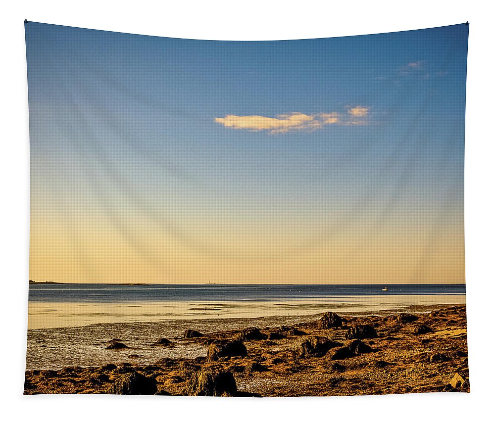 Acadia Tapestry featuring the photograph Sunset - Acadia National Park by Amelia Pearn
