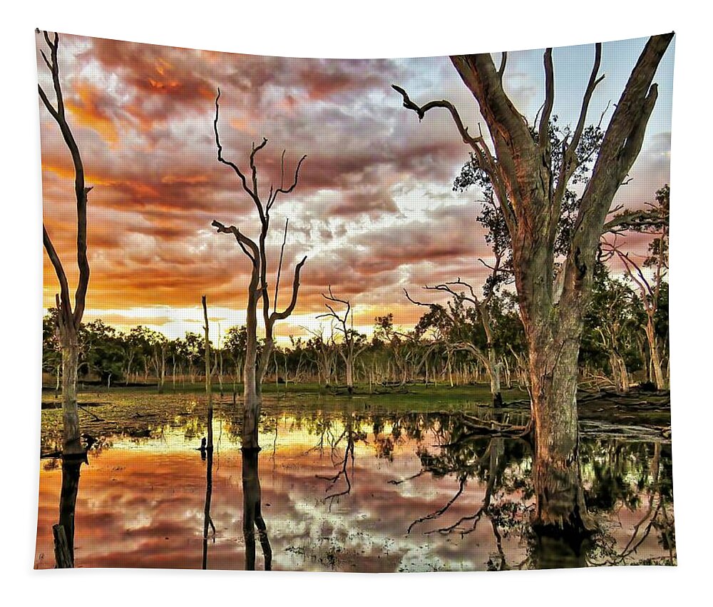Sunset View Tapestry featuring the photograph Sunset at Minnamoolka 3 by Joan Stratton