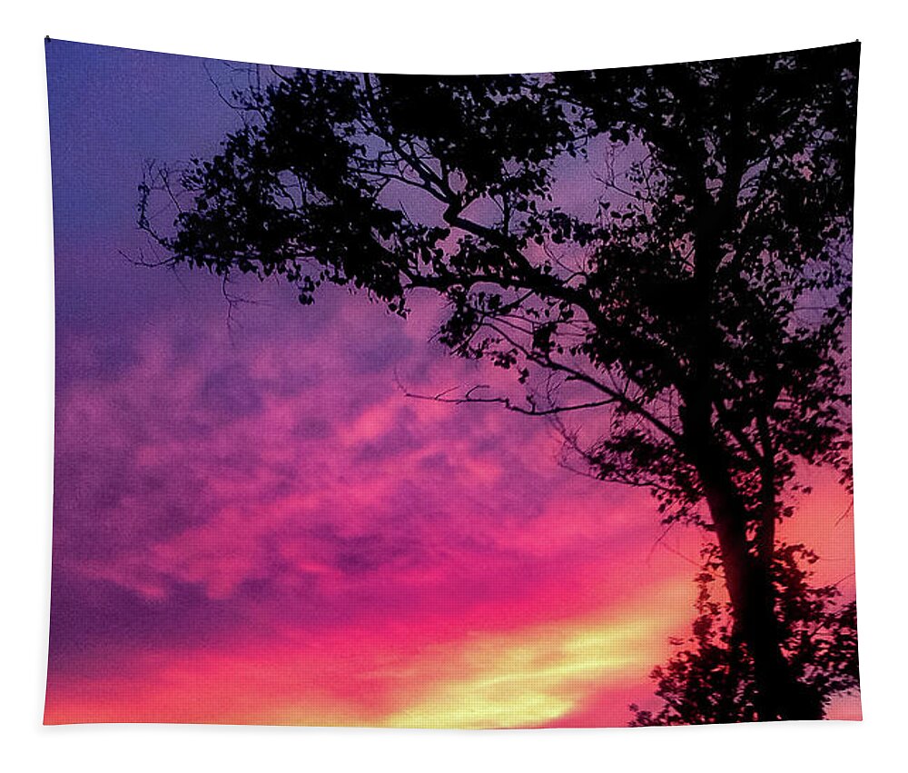 Landscape  Sunset   Tapestry featuring the photograph Sunset behind a tree by Kelsea Peet