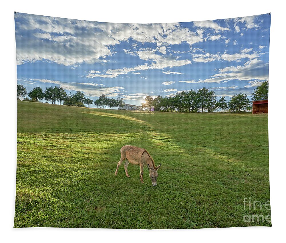 Usa Tapestry featuring the photograph Sunset Donkey by Brian Kamprath