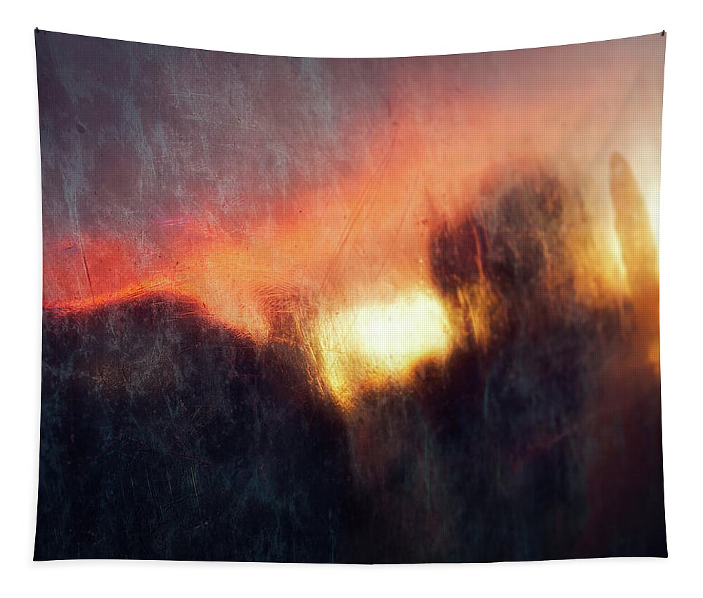 Abstract Tapestry featuring the photograph Sunset in Bronze by Richard Downs