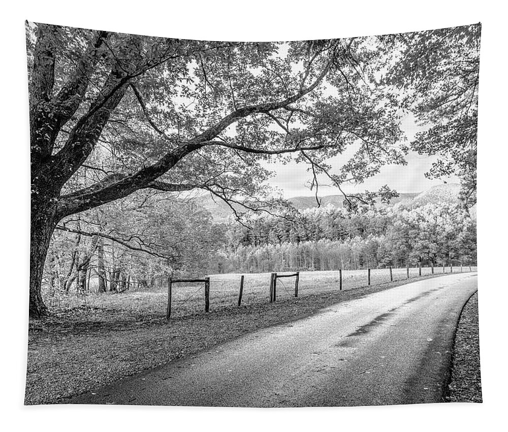 Black Tapestry featuring the photograph Sunset in Cades Cove Black and White by Debra and Dave Vanderlaan
