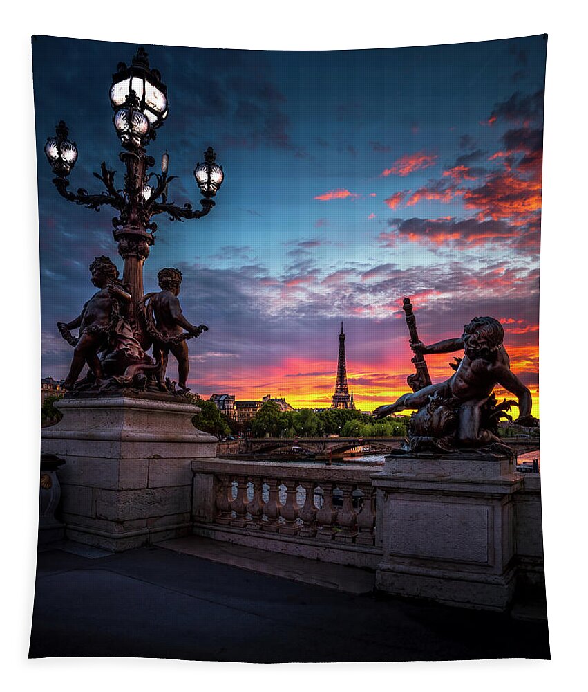 Alexander Iii Bridge Tapestry featuring the photograph Sunset in Paris by Dee Potter