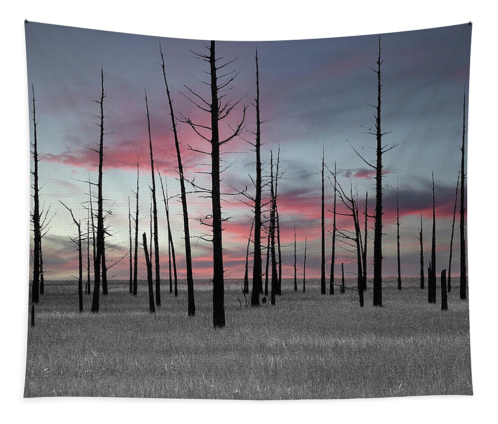 Art Tapestry featuring the photograph Sunset in the Cedar Swamp by Louis Dallara