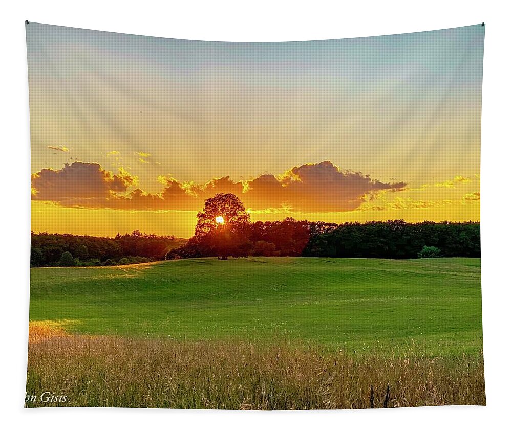  Tapestry featuring the photograph Sunset by John Gisis