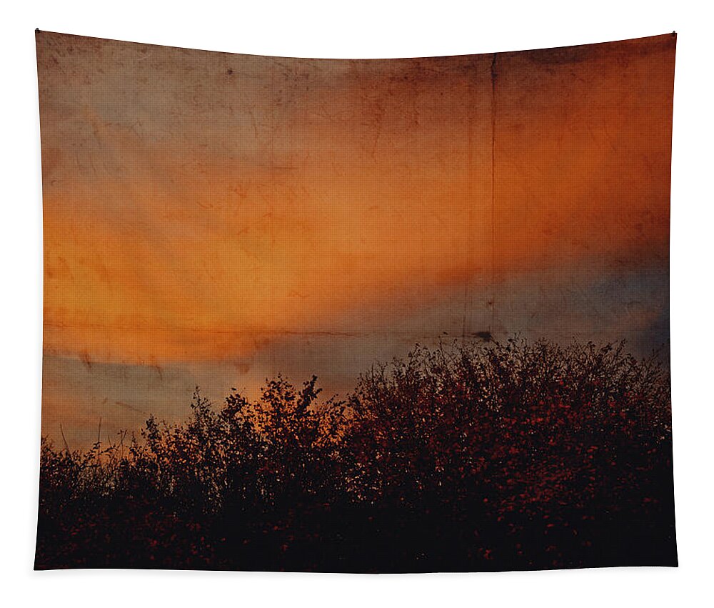 Land Tapestry featuring the photograph Sunset light by Yasmina Baggili