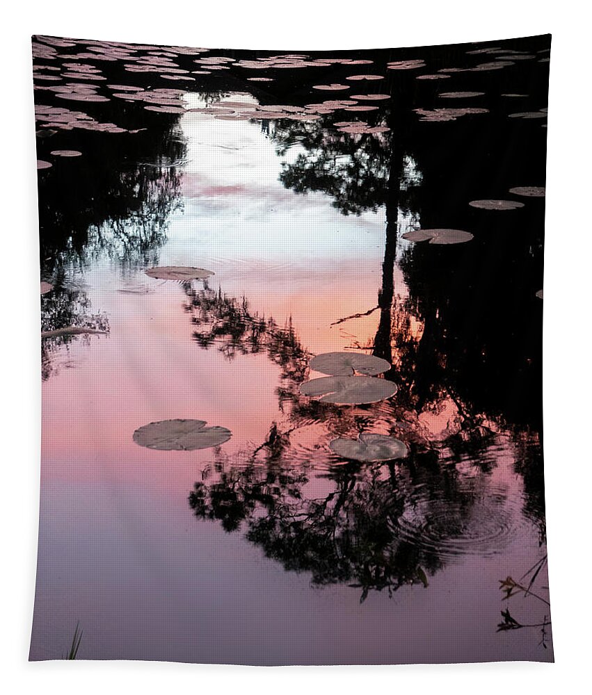 Reflection Tapestry featuring the photograph Sunset on a Florida pond by Karen Rispin