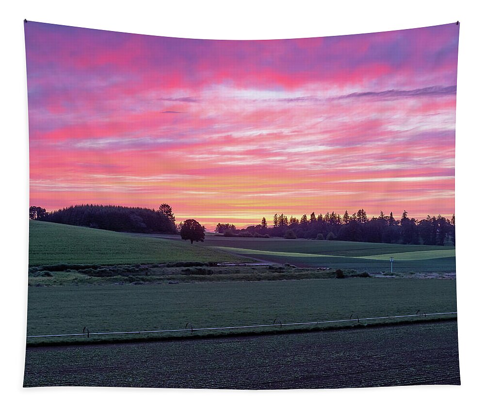 Evans Valley Tapestry featuring the photograph Sunset on the farm by Ulrich Burkhalter