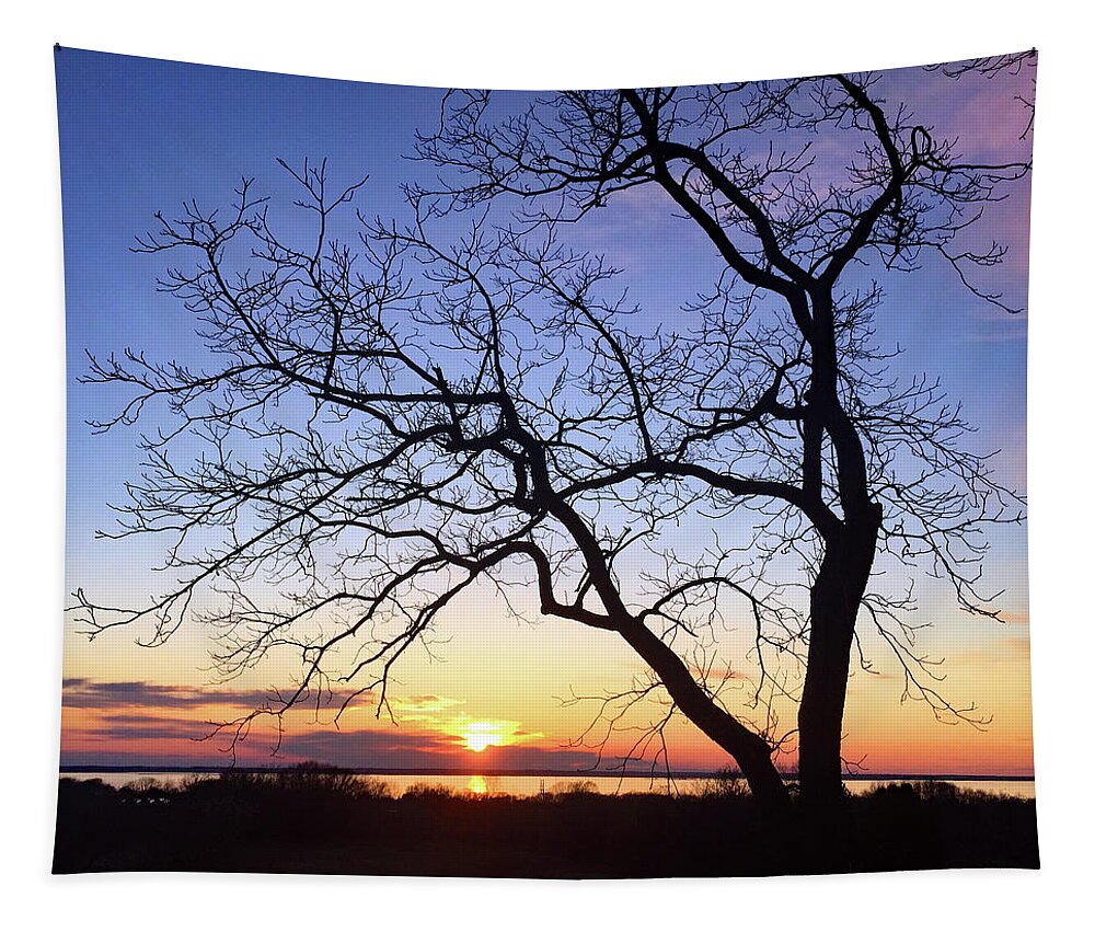 Autumn Tapestry featuring the photograph Sunset Over the Bay by David T Wilkinson