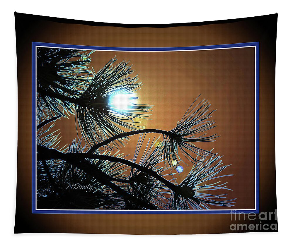 Sunset Pine Tapestry featuring the photograph Sunset Pine by Natalie Dowty