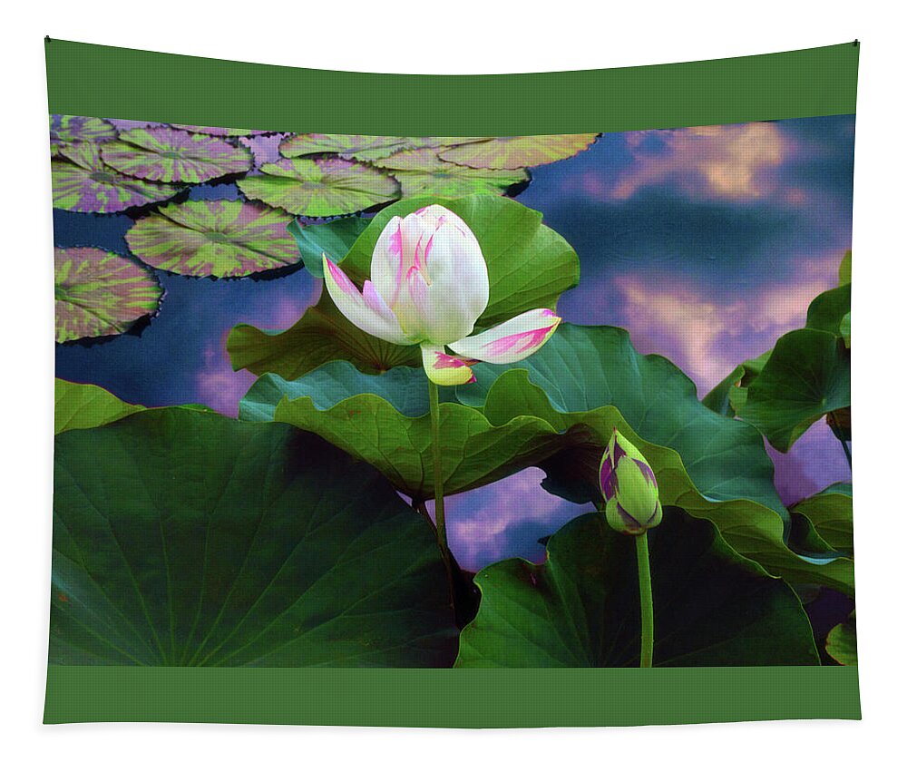 Lotus Tapestry featuring the photograph Sunset Pond Lotus by Jessica Jenney
