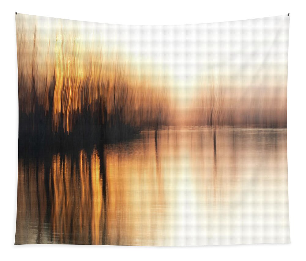 Sunset Tapestry featuring the photograph Sunset Reflections by Forest Floor Photography