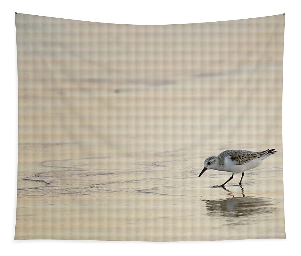 Sandpiper Tapestry featuring the photograph Sunset Sandpiper by Brad Barton