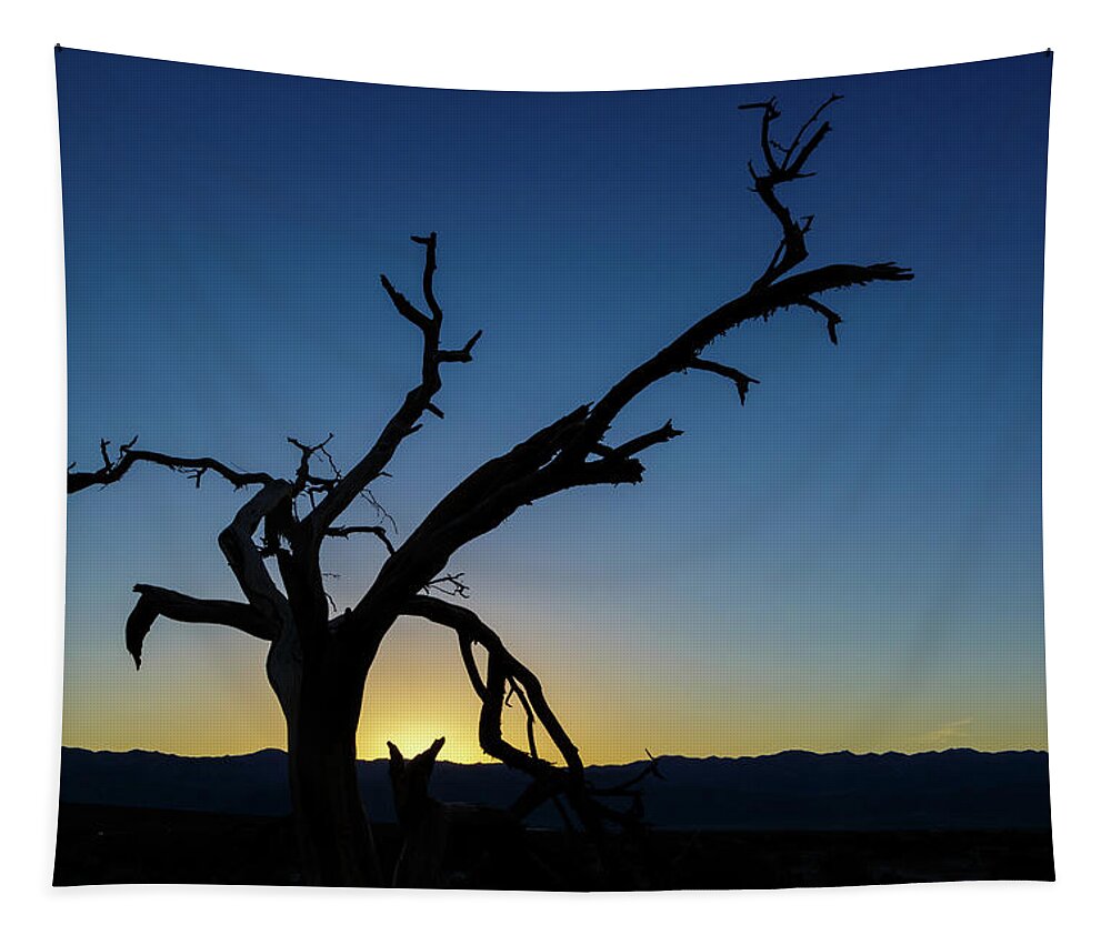 Dead Tapestry featuring the photograph Sunset Silhouette by Mike Schaffner